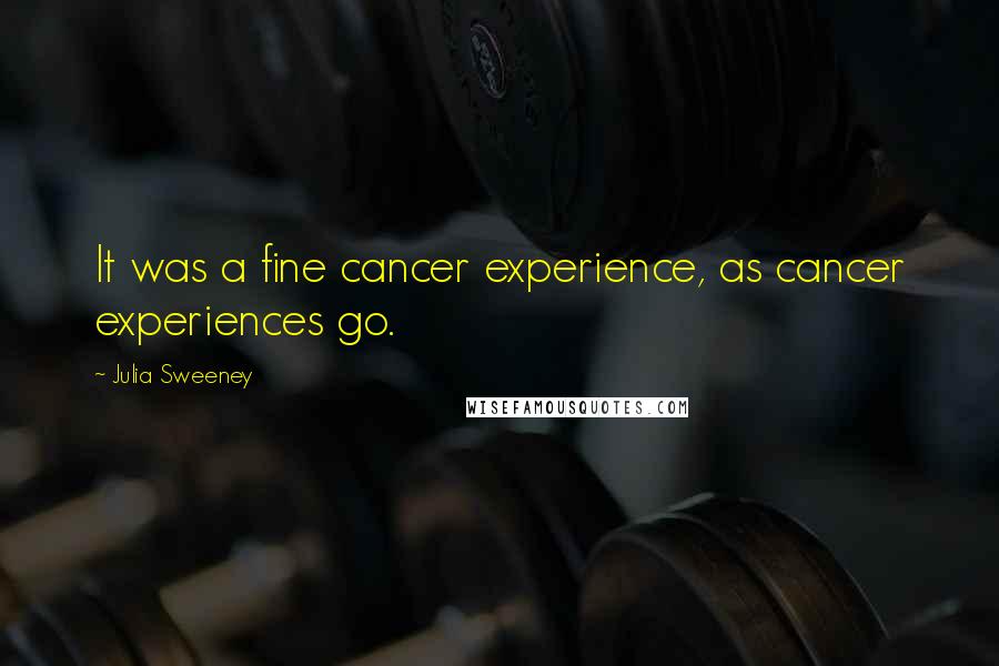 Julia Sweeney Quotes: It was a fine cancer experience, as cancer experiences go.