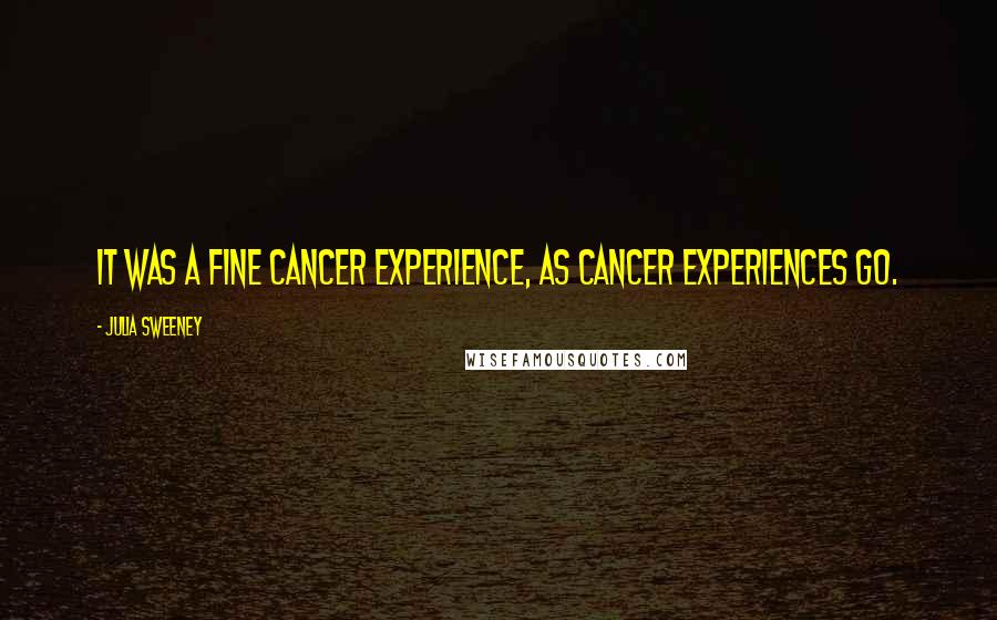 Julia Sweeney Quotes: It was a fine cancer experience, as cancer experiences go.