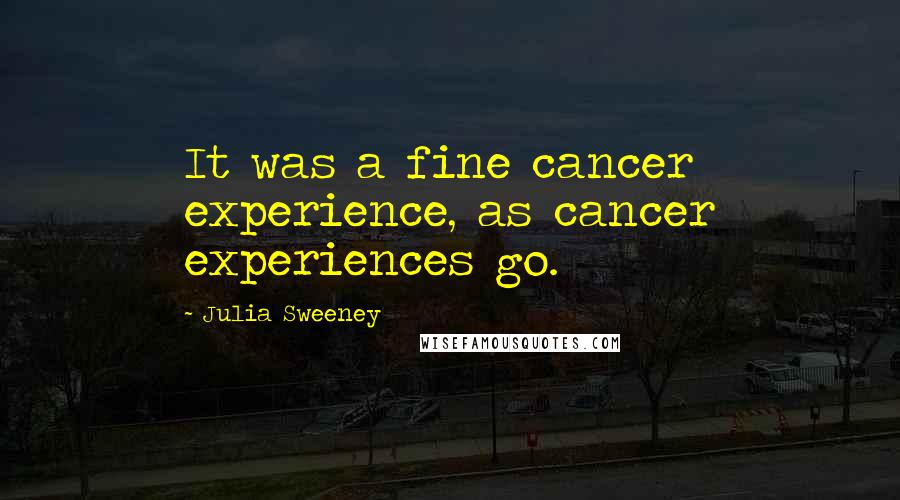 Julia Sweeney Quotes: It was a fine cancer experience, as cancer experiences go.