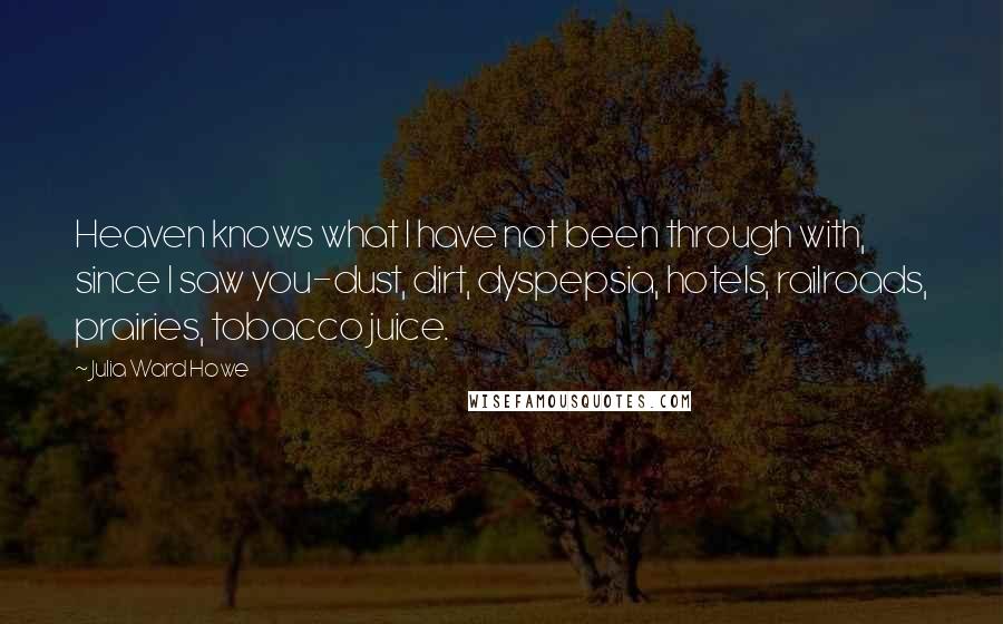 Julia Ward Howe Quotes: Heaven knows what I have not been through with, since I saw you-dust, dirt, dyspepsia, hotels, railroads, prairies, tobacco juice.