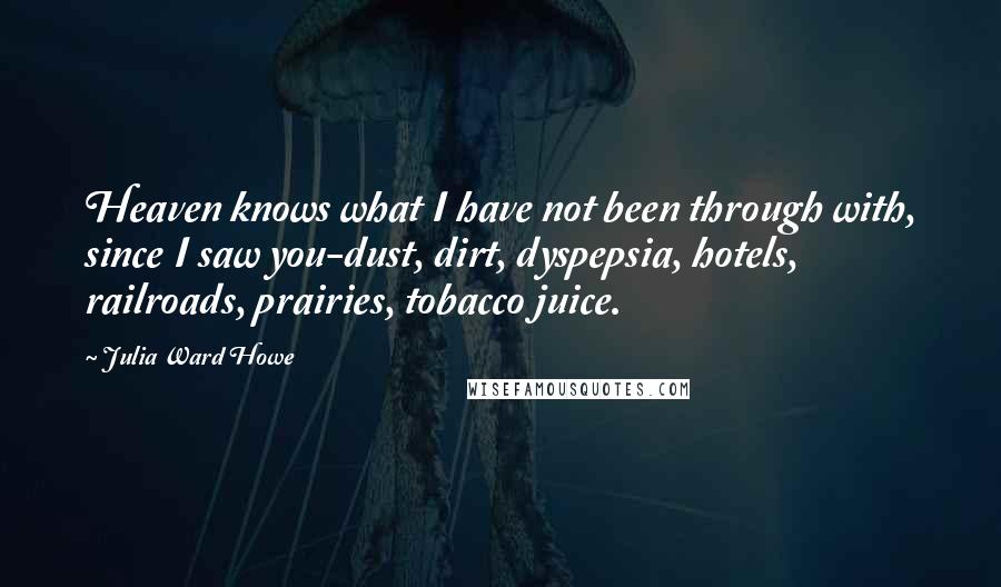 Julia Ward Howe Quotes: Heaven knows what I have not been through with, since I saw you-dust, dirt, dyspepsia, hotels, railroads, prairies, tobacco juice.