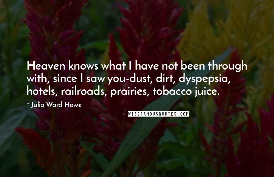 Julia Ward Howe Quotes: Heaven knows what I have not been through with, since I saw you-dust, dirt, dyspepsia, hotels, railroads, prairies, tobacco juice.