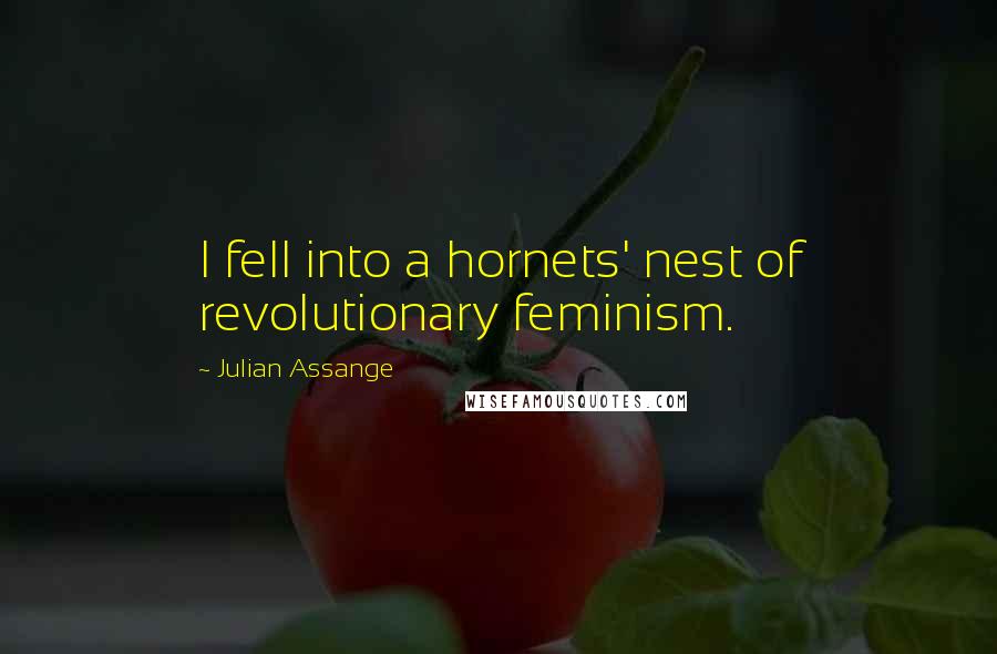 Julian Assange Quotes: I fell into a hornets' nest of revolutionary feminism.