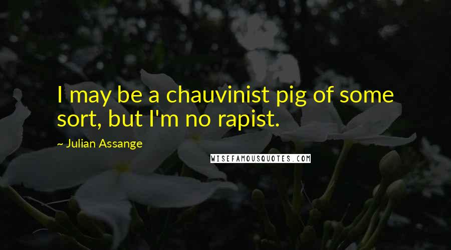 Julian Assange Quotes: I may be a chauvinist pig of some sort, but I'm no rapist.