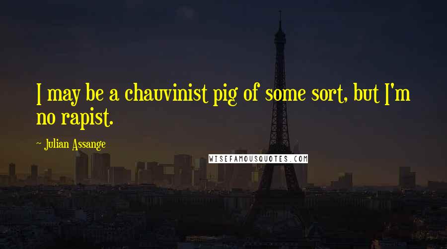 Julian Assange Quotes: I may be a chauvinist pig of some sort, but I'm no rapist.