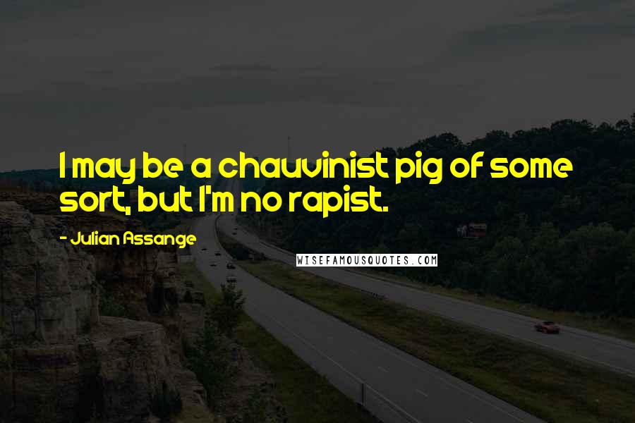 Julian Assange Quotes: I may be a chauvinist pig of some sort, but I'm no rapist.
