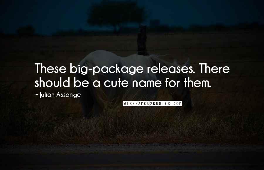 Julian Assange Quotes: These big-package releases. There should be a cute name for them.