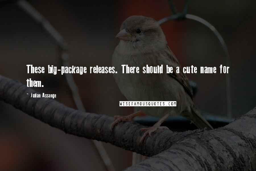 Julian Assange Quotes: These big-package releases. There should be a cute name for them.