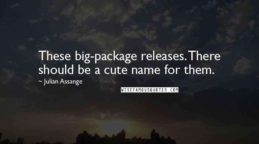 Julian Assange Quotes: These big-package releases. There should be a cute name for them.