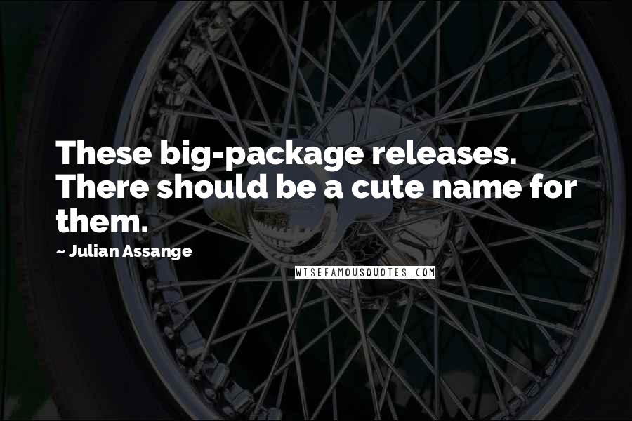 Julian Assange Quotes: These big-package releases. There should be a cute name for them.