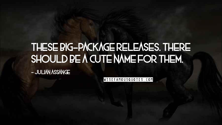 Julian Assange Quotes: These big-package releases. There should be a cute name for them.