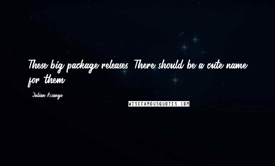 Julian Assange Quotes: These big-package releases. There should be a cute name for them.