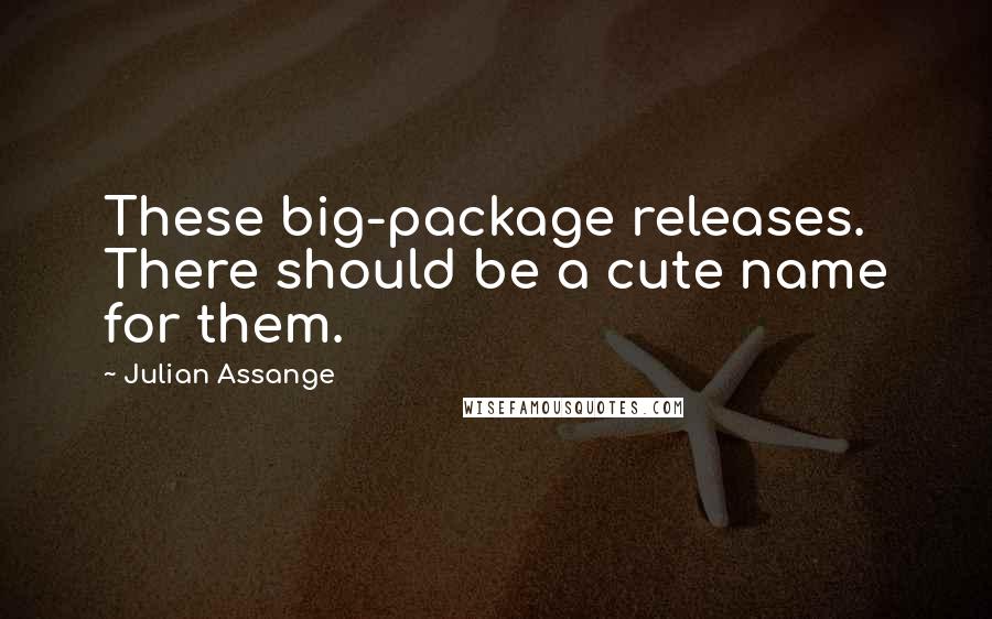 Julian Assange Quotes: These big-package releases. There should be a cute name for them.