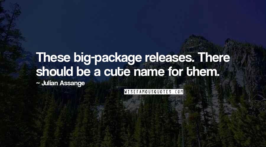 Julian Assange Quotes: These big-package releases. There should be a cute name for them.