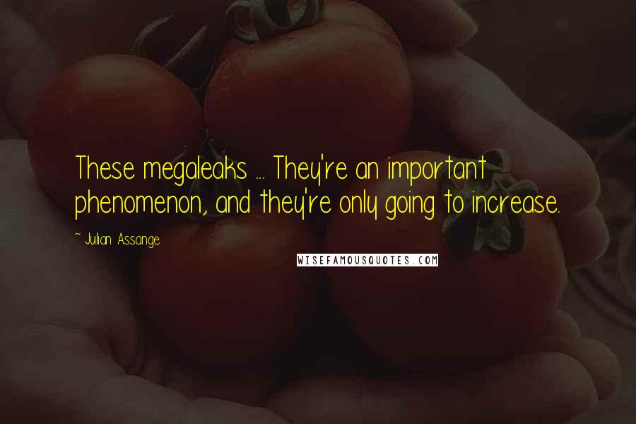 Julian Assange Quotes: These megaleaks ... They're an important phenomenon, and they're only going to increase.