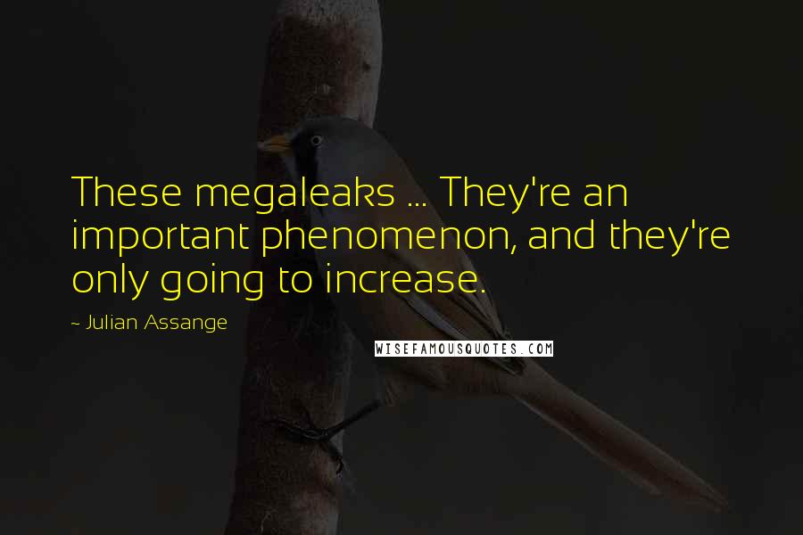 Julian Assange Quotes: These megaleaks ... They're an important phenomenon, and they're only going to increase.