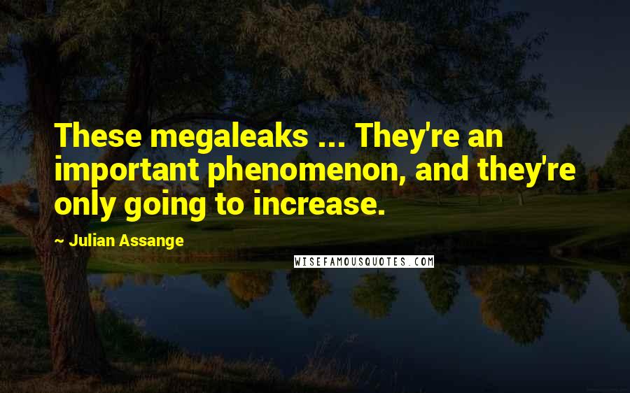 Julian Assange Quotes: These megaleaks ... They're an important phenomenon, and they're only going to increase.