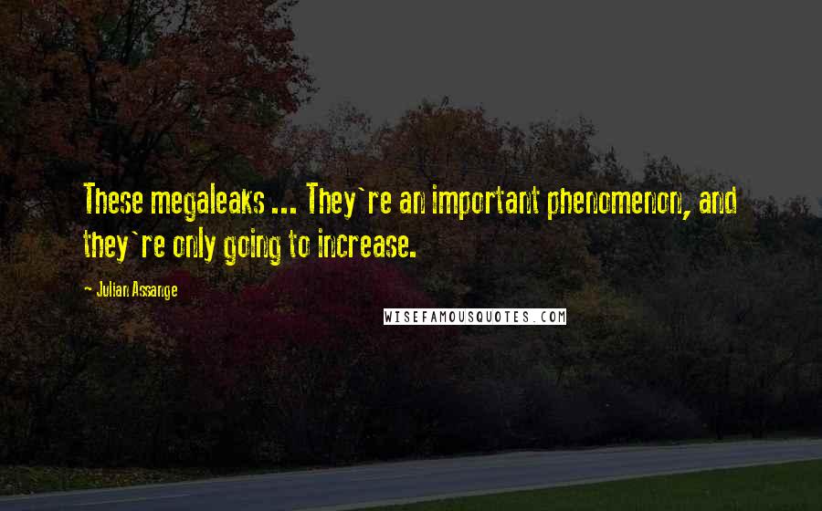 Julian Assange Quotes: These megaleaks ... They're an important phenomenon, and they're only going to increase.