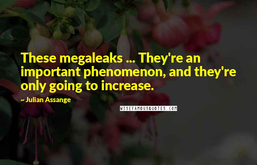 Julian Assange Quotes: These megaleaks ... They're an important phenomenon, and they're only going to increase.