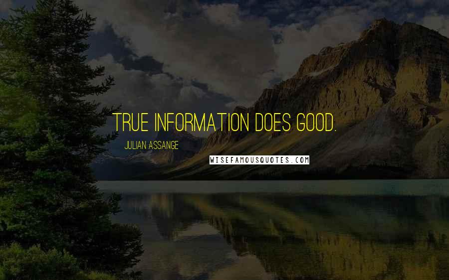 Julian Assange Quotes: True information does good.