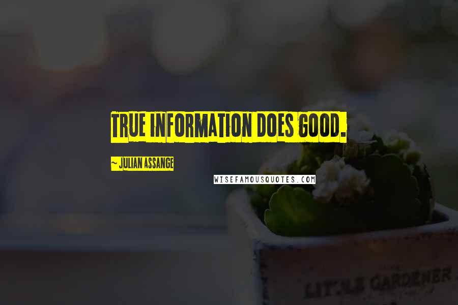 Julian Assange Quotes: True information does good.