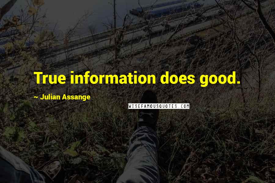 Julian Assange Quotes: True information does good.