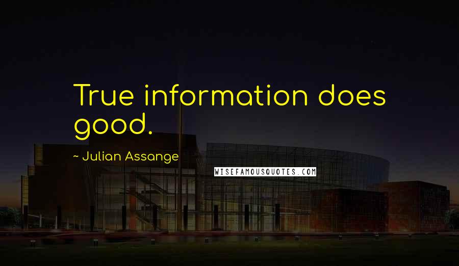 Julian Assange Quotes: True information does good.