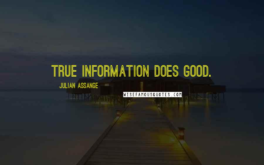 Julian Assange Quotes: True information does good.