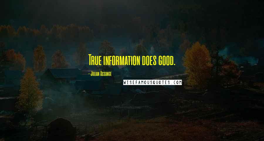 Julian Assange Quotes: True information does good.