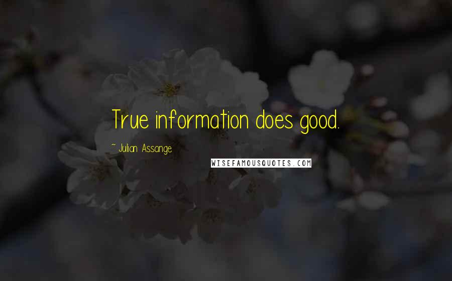 Julian Assange Quotes: True information does good.