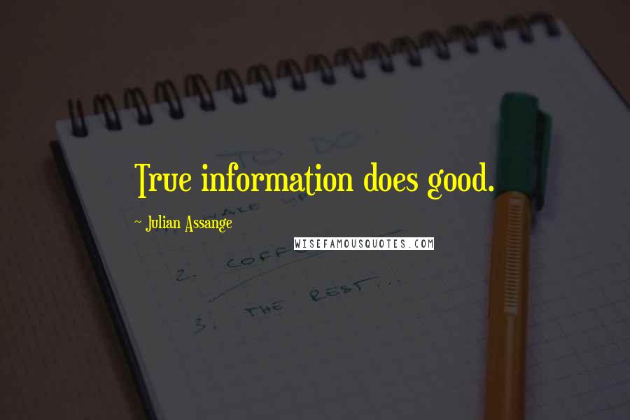 Julian Assange Quotes: True information does good.