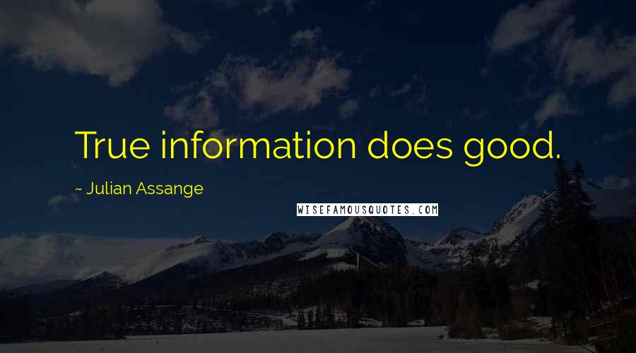 Julian Assange Quotes: True information does good.