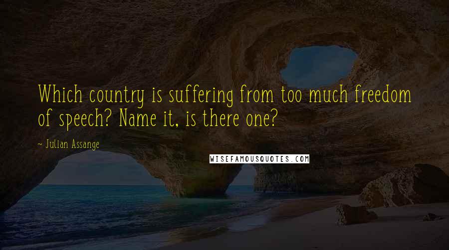 Julian Assange Quotes: Which country is suffering from too much freedom of speech? Name it, is there one?