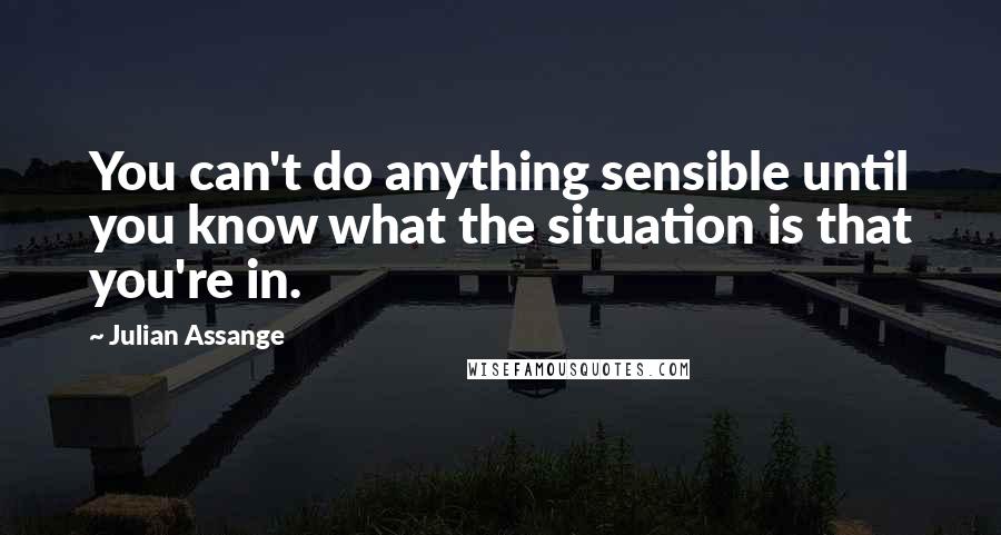 Julian Assange Quotes: You can't do anything sensible until you know what the situation is that you're in.