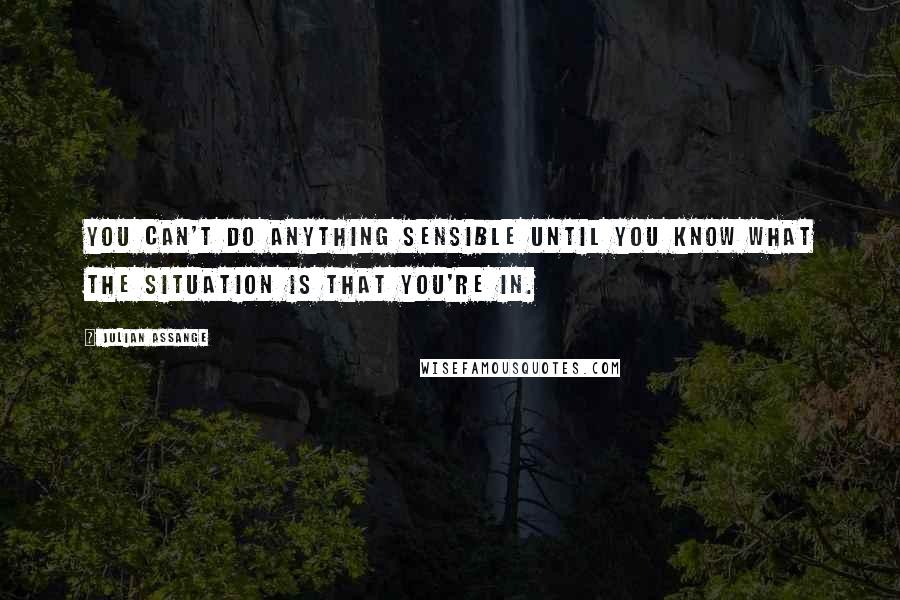 Julian Assange Quotes: You can't do anything sensible until you know what the situation is that you're in.