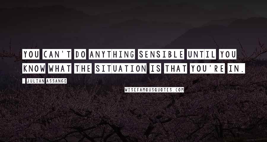 Julian Assange Quotes: You can't do anything sensible until you know what the situation is that you're in.