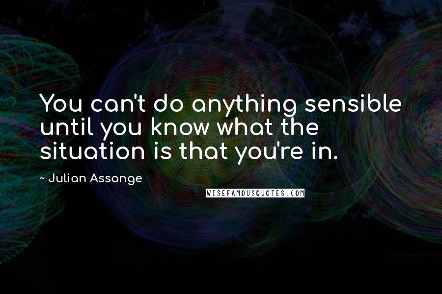 Julian Assange Quotes: You can't do anything sensible until you know what the situation is that you're in.