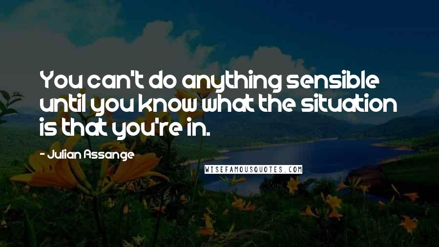 Julian Assange Quotes: You can't do anything sensible until you know what the situation is that you're in.