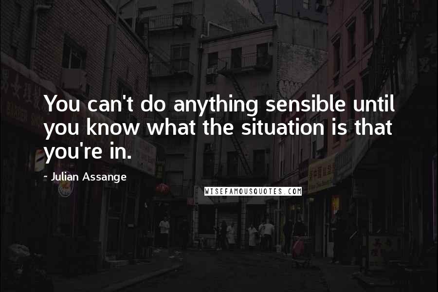 Julian Assange Quotes: You can't do anything sensible until you know what the situation is that you're in.