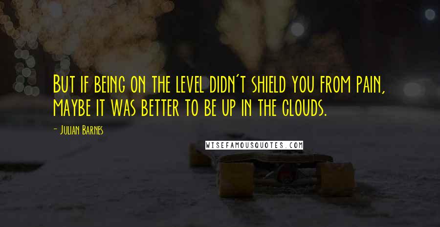 Julian Barnes Quotes: But if being on the level didn't shield you from pain, maybe it was better to be up in the clouds.