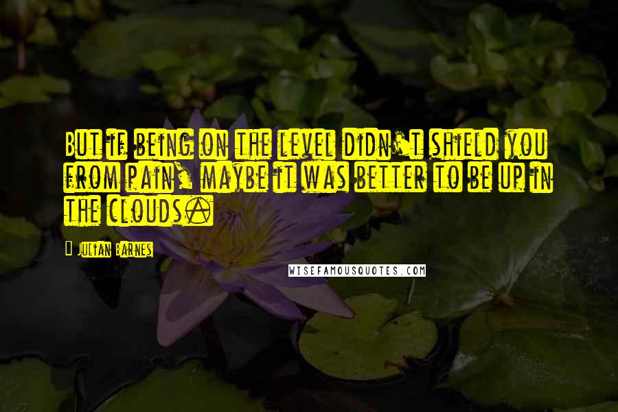 Julian Barnes Quotes: But if being on the level didn't shield you from pain, maybe it was better to be up in the clouds.