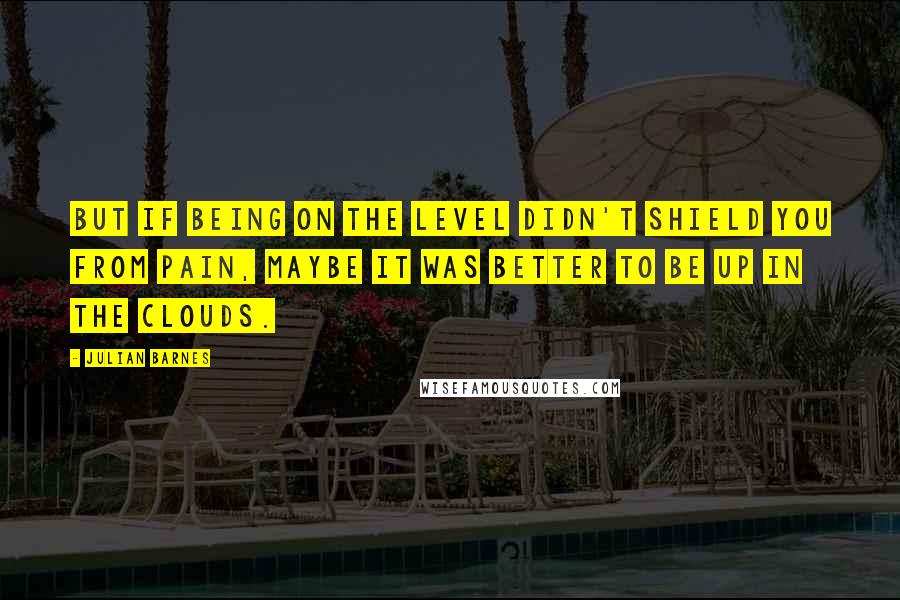 Julian Barnes Quotes: But if being on the level didn't shield you from pain, maybe it was better to be up in the clouds.