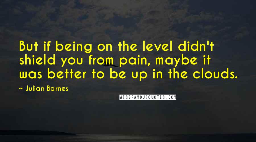 Julian Barnes Quotes: But if being on the level didn't shield you from pain, maybe it was better to be up in the clouds.