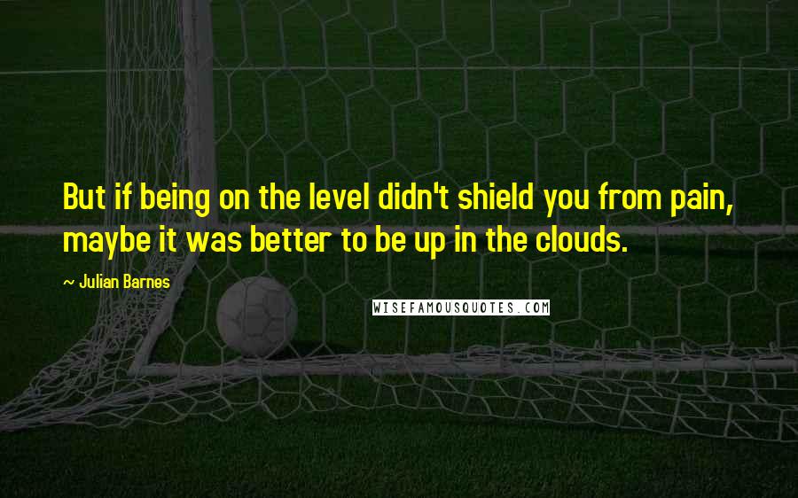 Julian Barnes Quotes: But if being on the level didn't shield you from pain, maybe it was better to be up in the clouds.