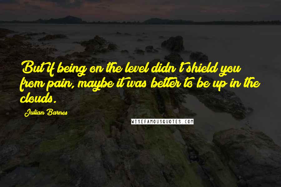 Julian Barnes Quotes: But if being on the level didn't shield you from pain, maybe it was better to be up in the clouds.