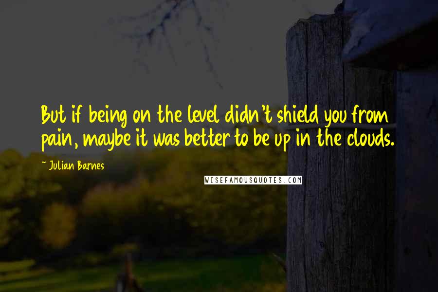 Julian Barnes Quotes: But if being on the level didn't shield you from pain, maybe it was better to be up in the clouds.