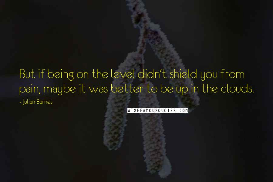 Julian Barnes Quotes: But if being on the level didn't shield you from pain, maybe it was better to be up in the clouds.