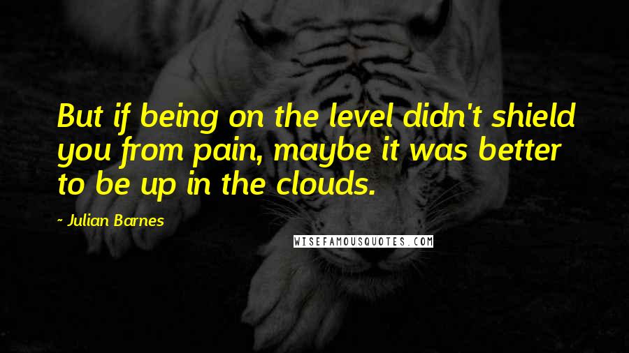 Julian Barnes Quotes: But if being on the level didn't shield you from pain, maybe it was better to be up in the clouds.