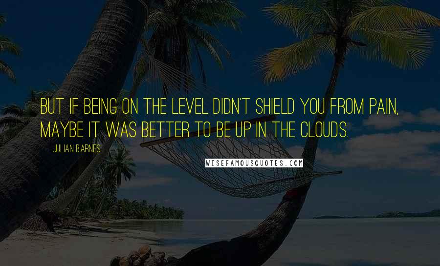 Julian Barnes Quotes: But if being on the level didn't shield you from pain, maybe it was better to be up in the clouds.