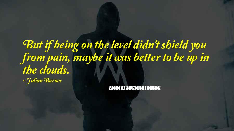 Julian Barnes Quotes: But if being on the level didn't shield you from pain, maybe it was better to be up in the clouds.